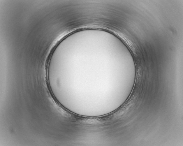 X0000115240998200911271839