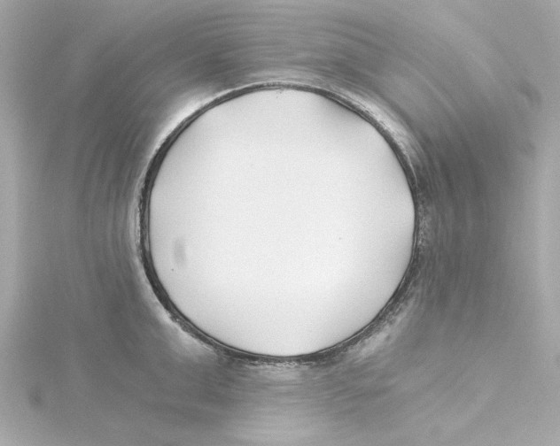 X0000115240999200911271839