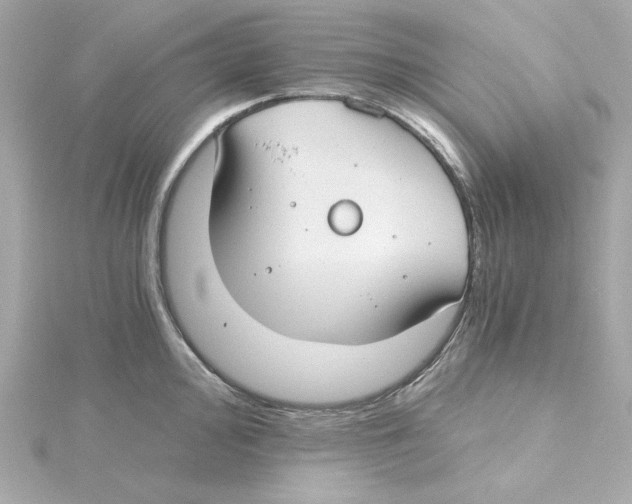 X0000115241000200911271839