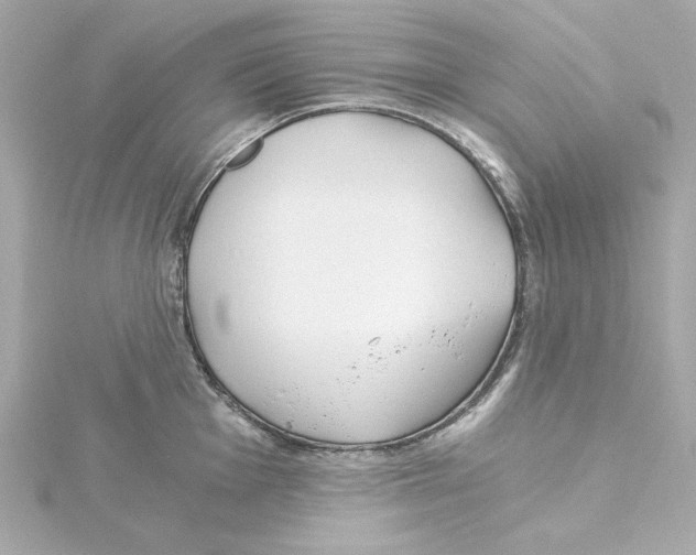 X0000115241001200911271839