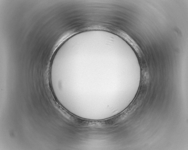 X0000115241002200911271839