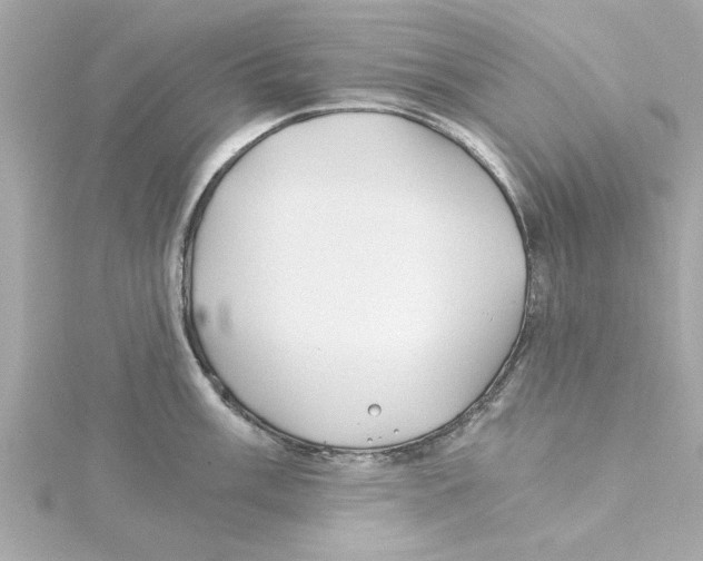 X0000115241003200911271839