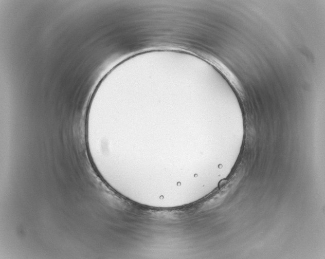 X0000115241004200911271839