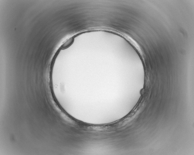 X0000115241005200911271839