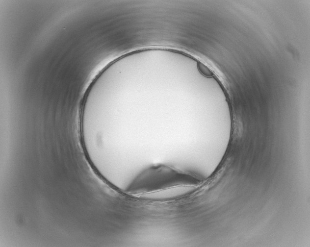 X0000115241006200911271839