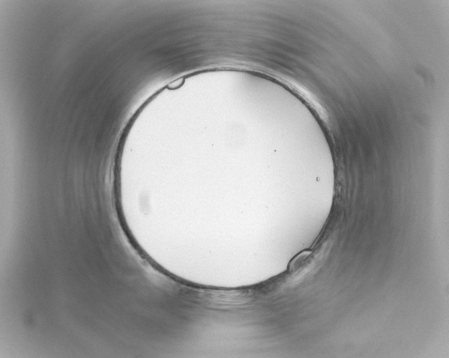 X0000115241007200911271839