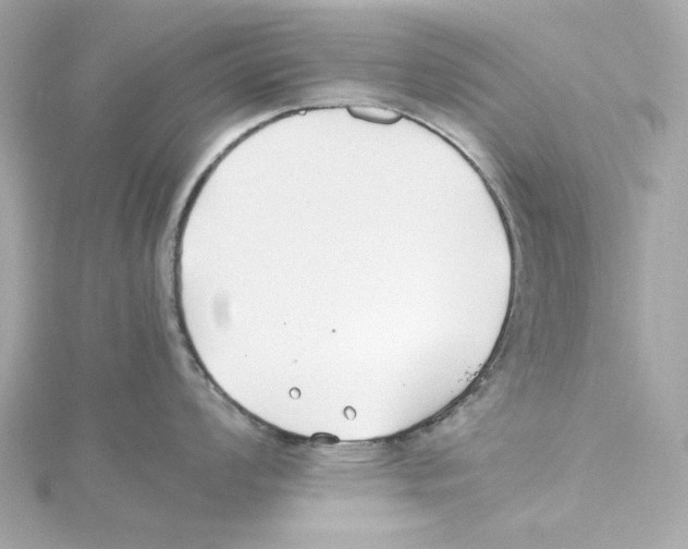 X0000115241008200911271839