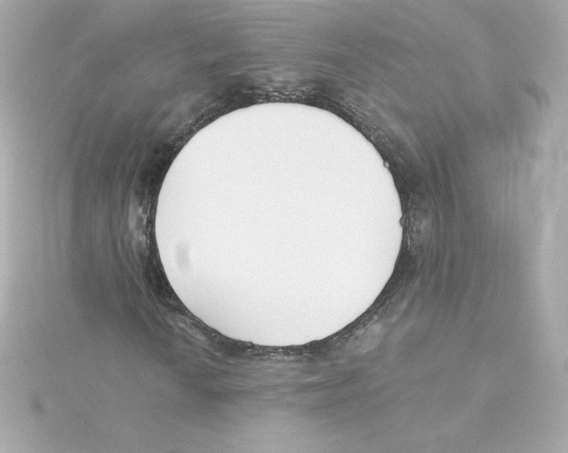 X0000115241010200911271838