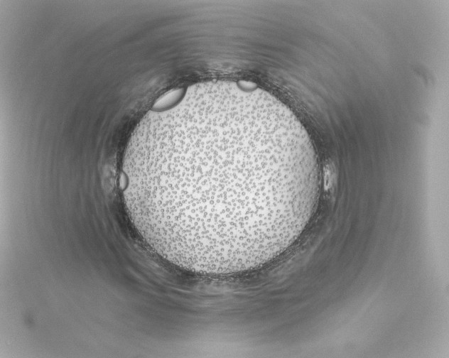 X0000115241011200911271838