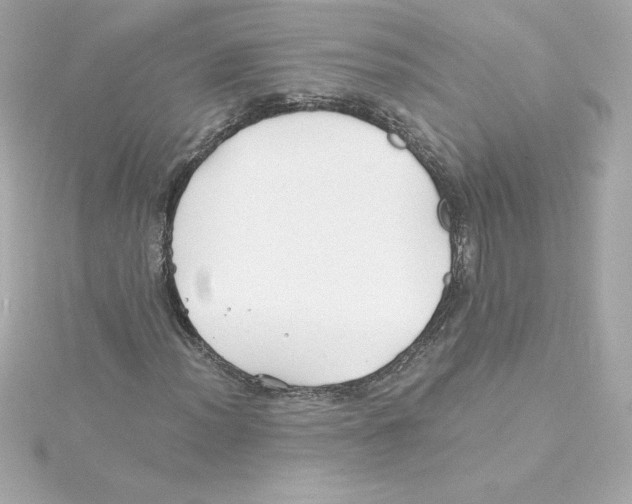 X0000115241012200911271838