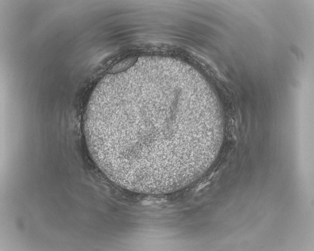 X0000115241013200911271838