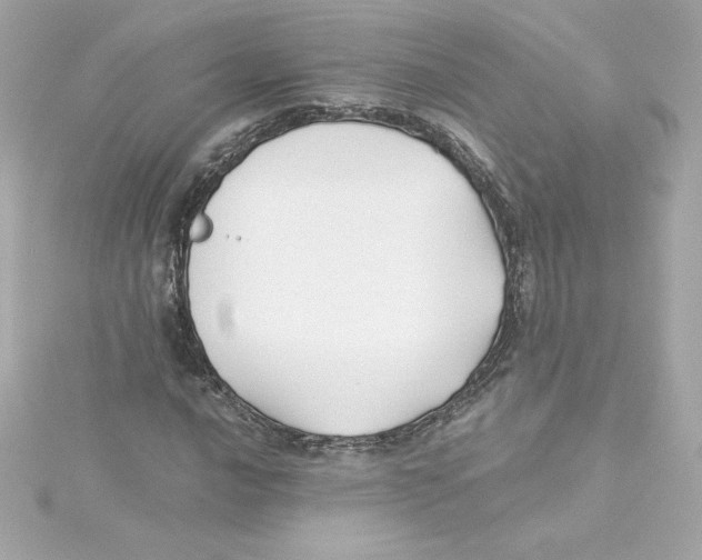 X0000115241016200911271838