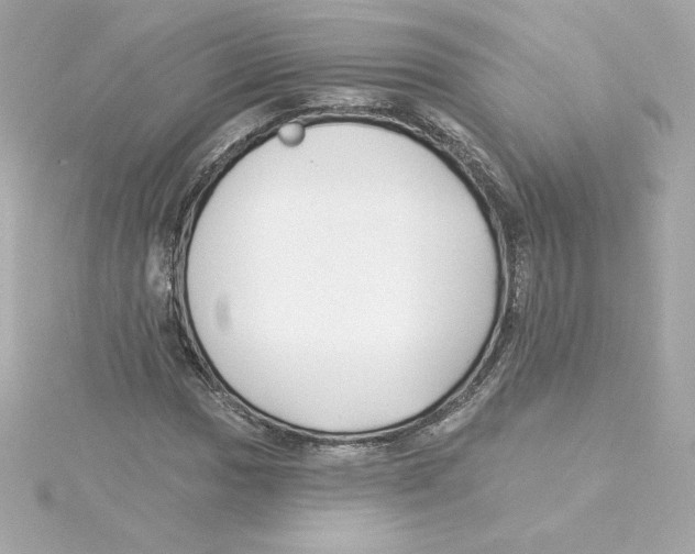 X0000115241017200911271838