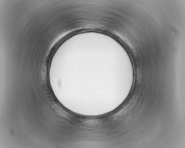 X0000115241021200911271839