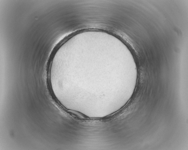 X0000115241024200911271839