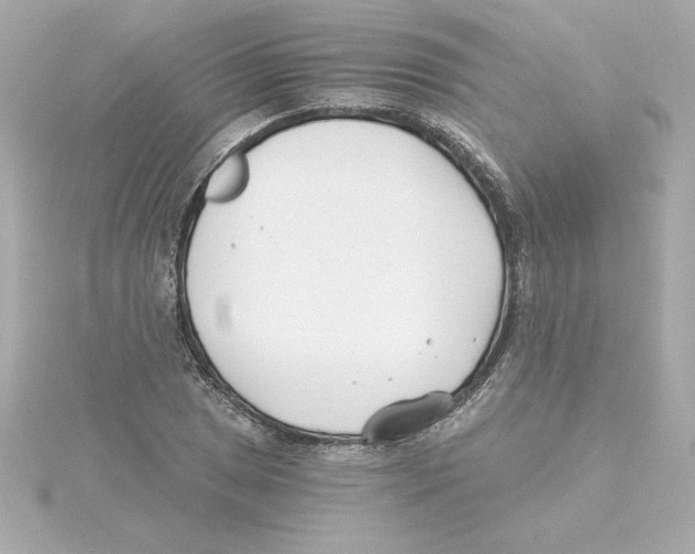 X0000115241025200911271839