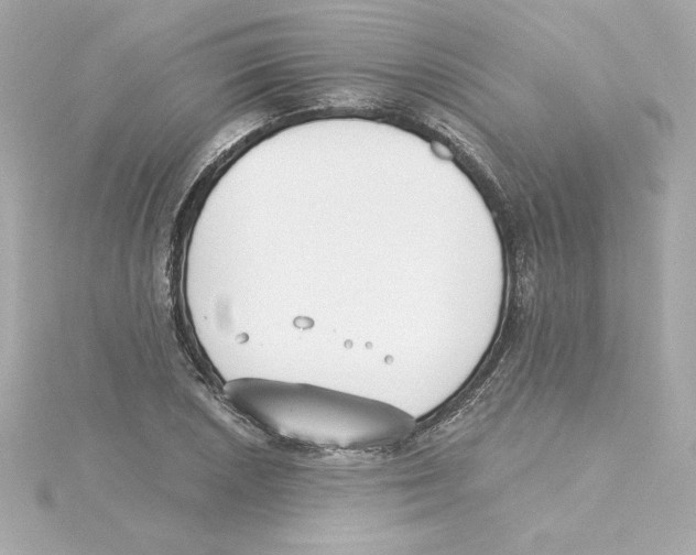 X0000115241026200911271839