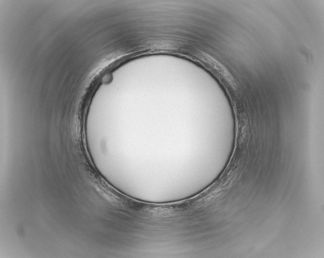 X0000115241027200911271839