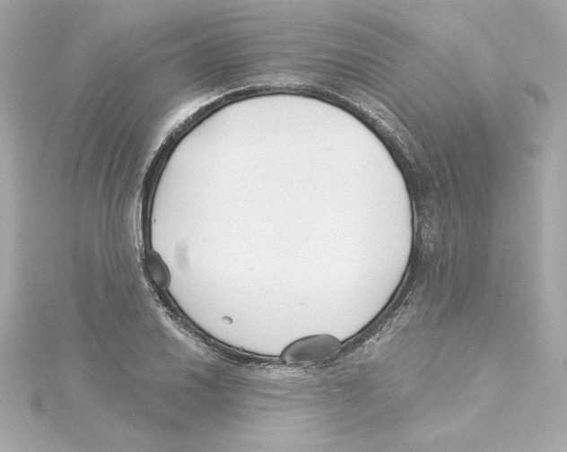 X0000115241030200911271839