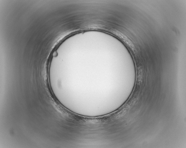 X0000115241031200911271839