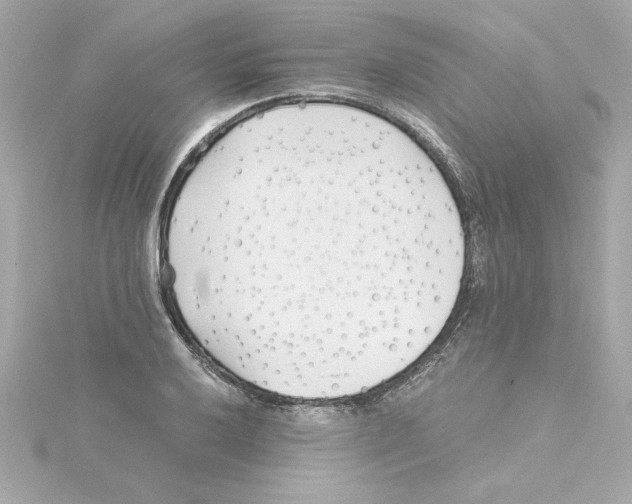 X0000115241032200911271839