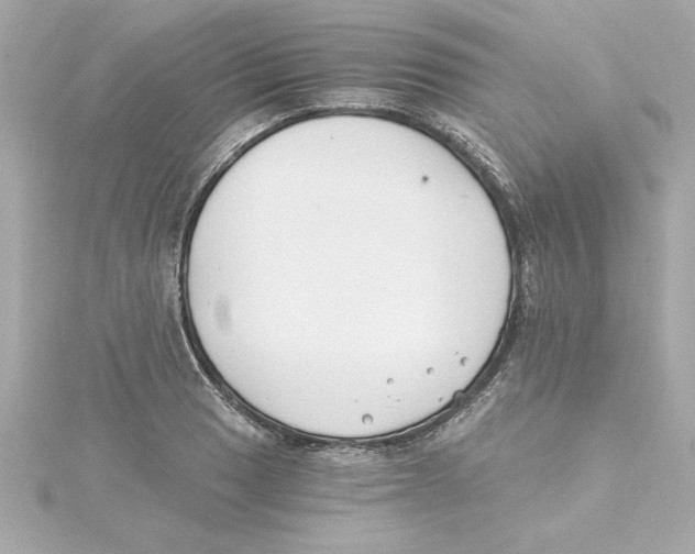 X0000115241033200911271839