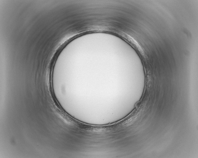 X0000115241035200911271839