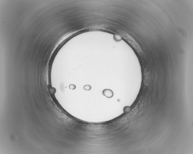 X0000115241036200911271839