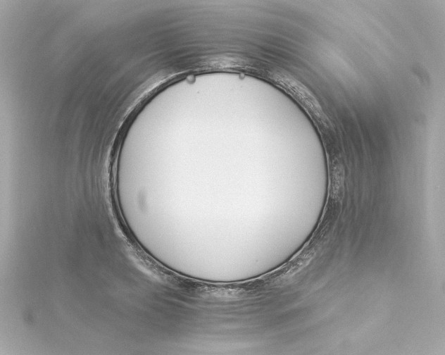 X0000115241039200911271839