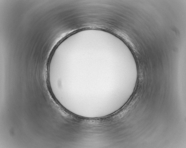 X0000115241040200911271839