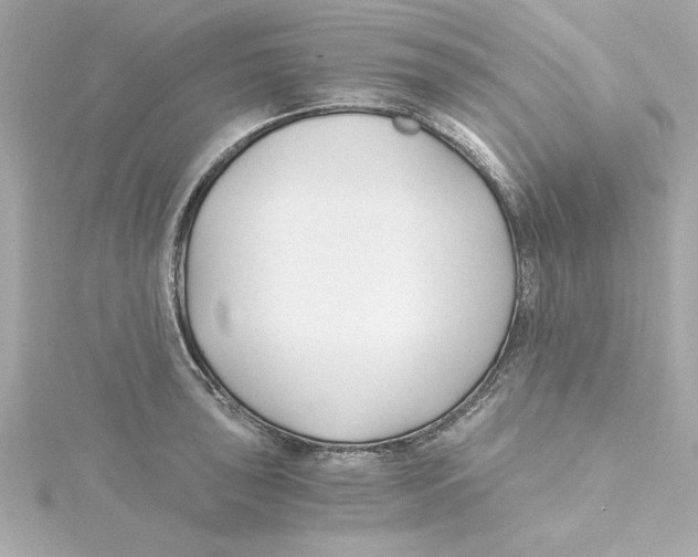 X0000115241043200911271839