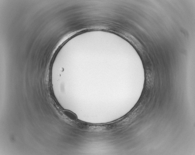 X0000115241044200911271839