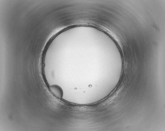 X0000115241045200911271839