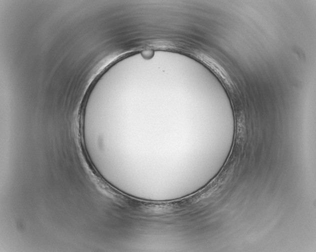 X0000115241047200911271839