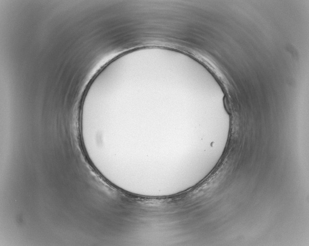 X0000115241048200911271839