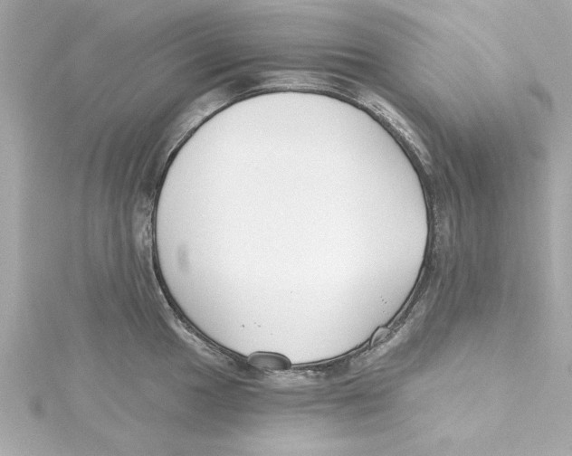 X0000115241049200911271839