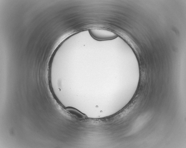 X0000115241050200911271839