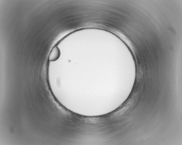 X0000115241053200911271839