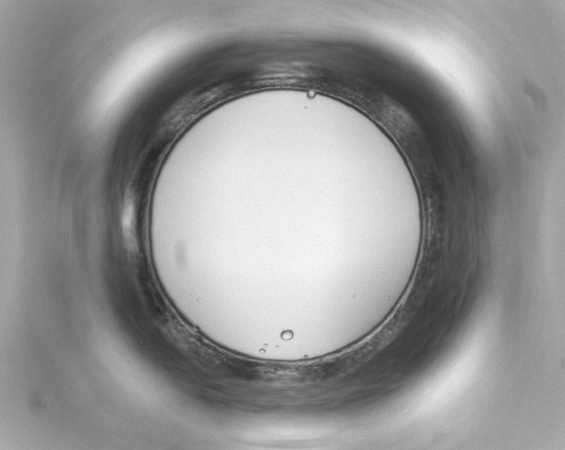 X0000115241054200911271839