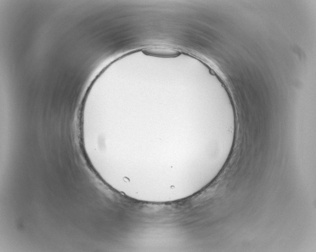 X0000115241056200911271839