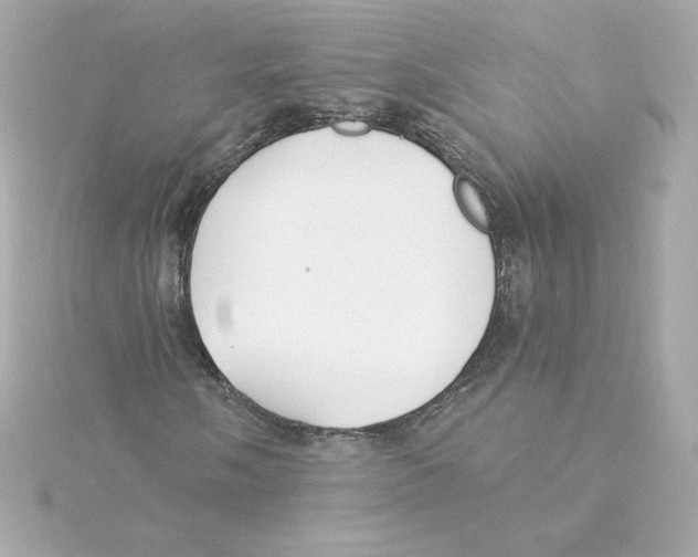 X0000115241058200911271838