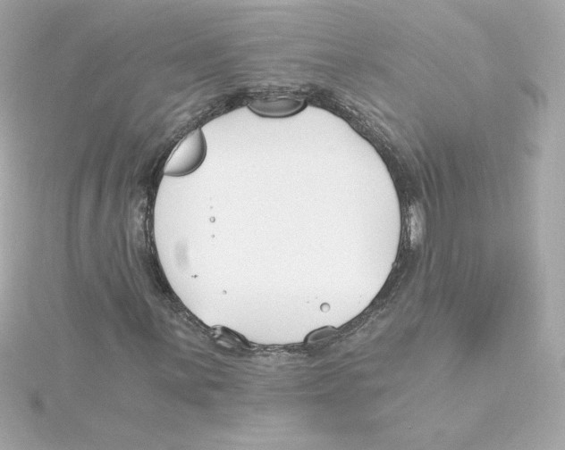 X0000115241059200911271838