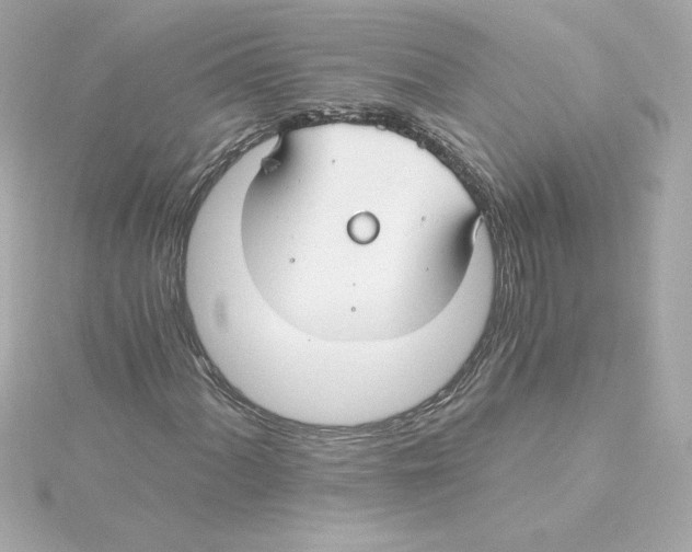 X0000115241060200911271838