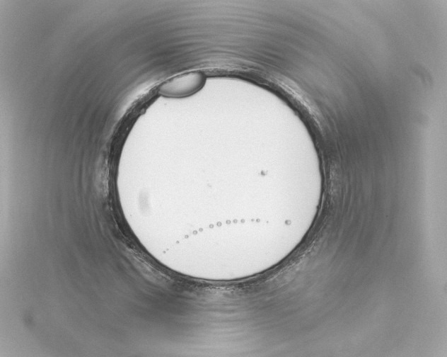 X0000115241067200911271838