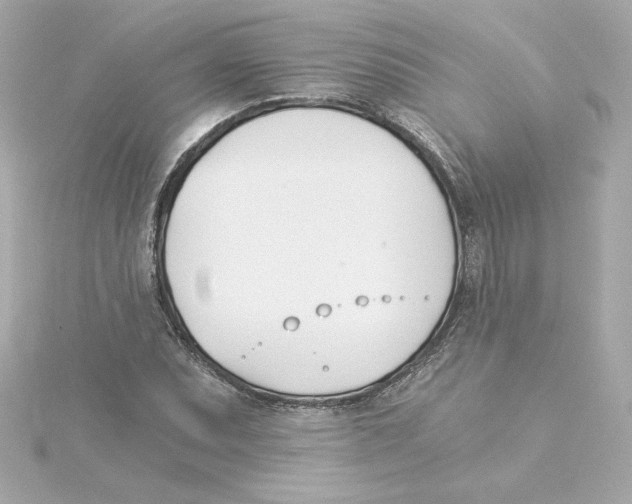 X0000115241071200911271838