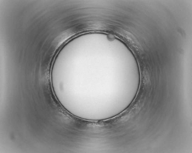 X0000115241073200911271838