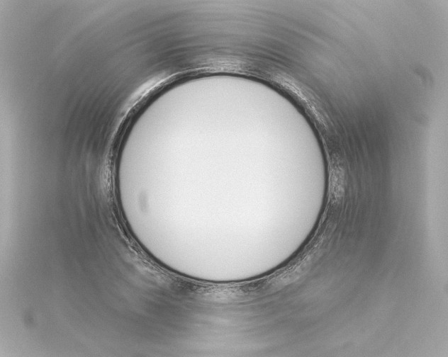 X0000115241074200911271838