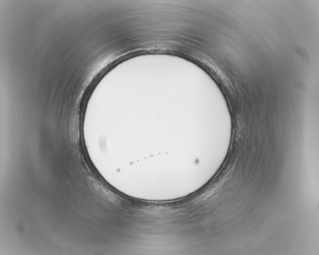 X0000115241075200911271838