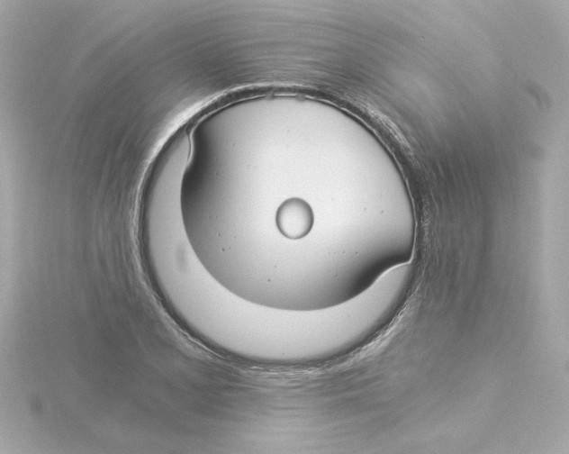 X0000115241077200911271838