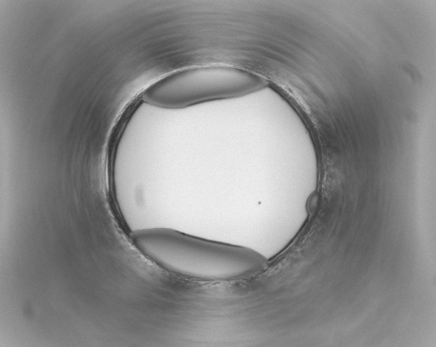 X0000115241080200911271838